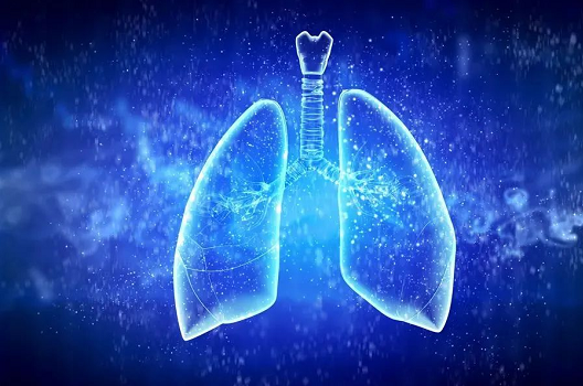 负离子与呼吸系统疾病—冬季篇